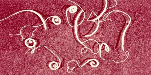 pinworms iz ljudskog tijela